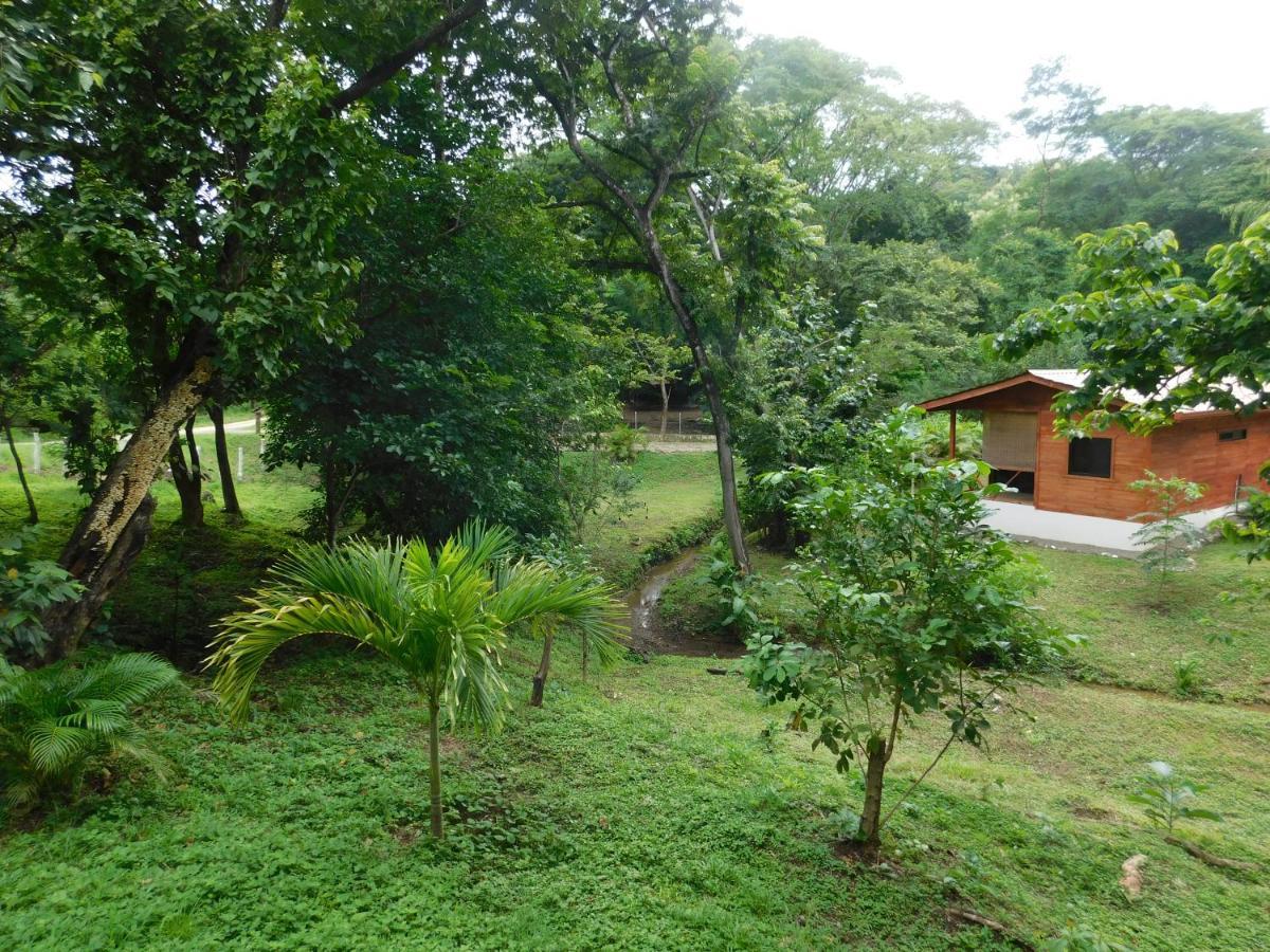 Villasjungle 2 Holiday home
