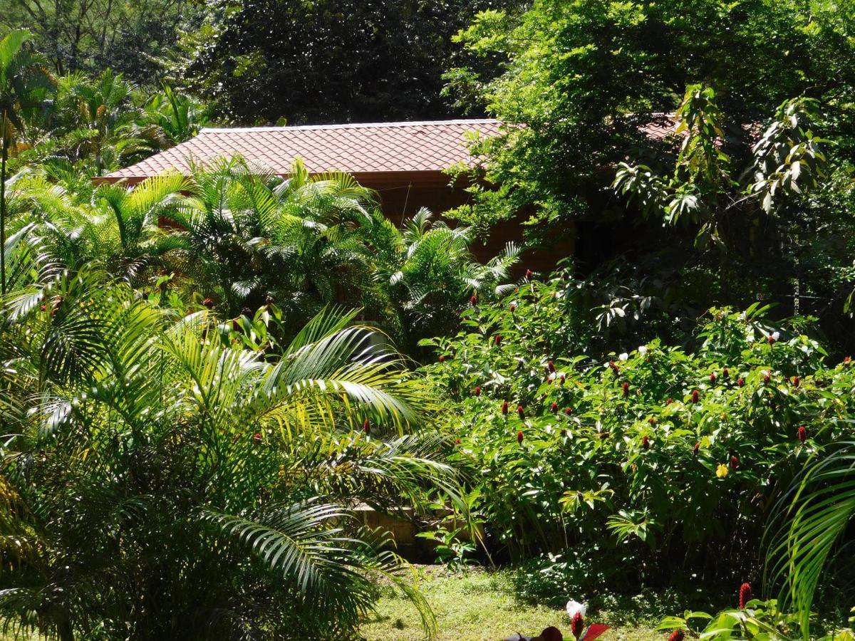Holiday home Villasjungle 2